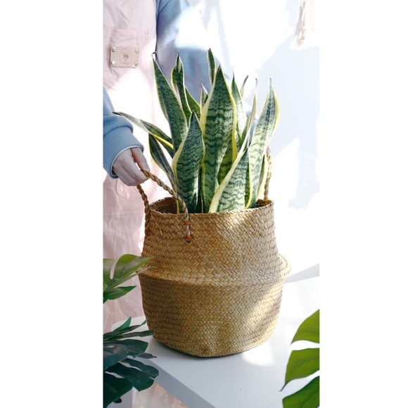XL 38CM Handmade Seagrass Foldable Planter · Basket  Seagrass Plant Basket - Hand Woven Belly Basket XL